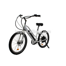 bestes sller sandfahrrad elektrisches strandkreuzerfahrrad 48 volt zu verkaufen